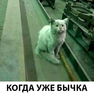 Sticker from Бытовуха Одиссеи
