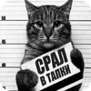 🐱 emoji Timon sral v tapki ➡️ @Ctikerubot Telegram sticker 20 of 20