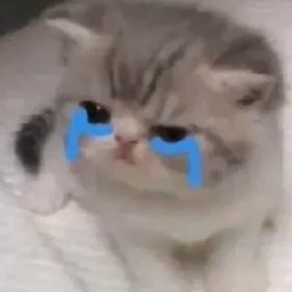 😭 emoji Больше тут ➜ @sticker_full 💘 Telegram sticker 14 of 33