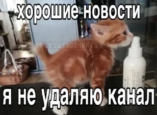 Sticker from я знаю твой телефон, но никогд