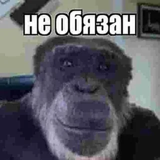 🙅‍♂️ emoji Больше стиков тут: @stikery4 Telegram sticker 17 of 70