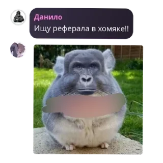 🌟 emoji 🏛🧩WoT Blitz chat | LESTA/WG • by admins Telegram sticker 2 of 13