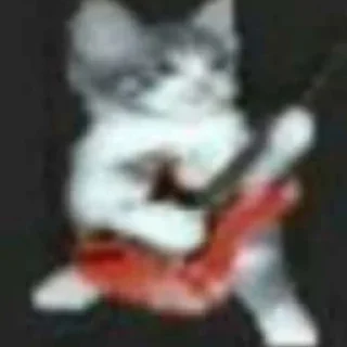 🥰 emoji Котики хд смешно мем милые коты лол хд Telegram sticker 6 of 60