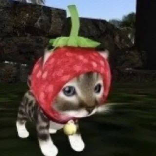 😘 emoji Котики хд смешно мем милые коты лол хд Telegram sticker 2 of 60
