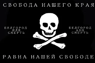 🤩 emoji Анархисты Белгородчины Telegram sticker 6 of 34