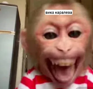 🤩 emoji вика и даша королевы @TgEmodziBot Telegram sticker 9 of 40