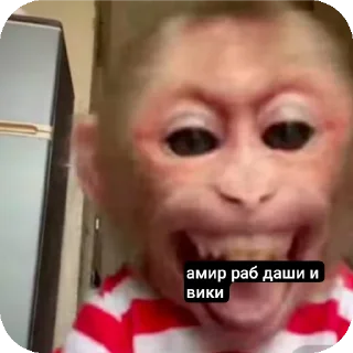 🤲 emoji вика и даша королевы @TgEmodziBot Telegram sticker 12 of 40