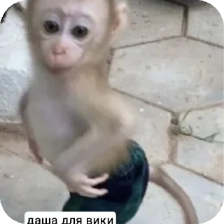 🐶 emoji вика и даша королевы @TgEmodziBot Telegram sticker 19 of 40