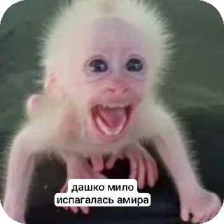 ✋ emoji вика и даша королевы @TgEmodziBot Telegram sticker 18 of 40