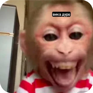 🤲 emoji вика и даша королевы @TgEmodziBot Telegram sticker 10 of 40