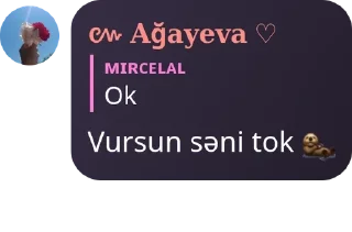 🦦 emoji Gizli gizli işler niahahaa pack by @QuotLyBot Telegram sticker 8 of 58