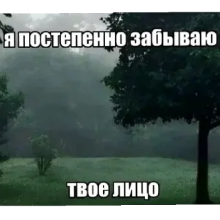 🗿 emoji Исправьте@vn9tr1temn @vn9tr1temn0 Telegram sticker 19 of 59