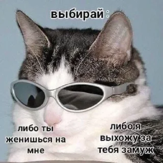 💍 emoji Больше стиков тут: @stikery4 Telegram sticker 15 of 50