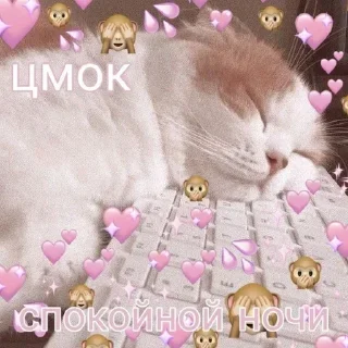 😴 emoji Больше стиков тут: @stikery4 Telegram sticker 9 of 50