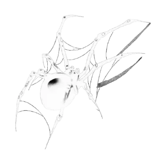 🕷 emoji z x c Telegram sticker 14 of 21