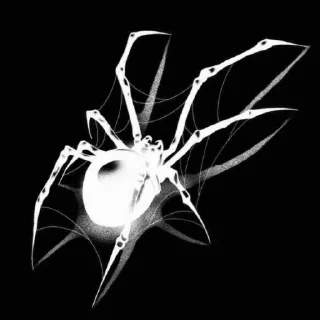 🕷 emoji z x c Telegram sticker 1 of 21