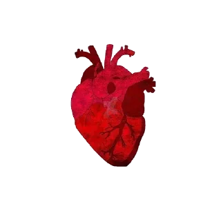 ❤️ emoji Больше стиков тут: @stikery4 Telegram sticker 3 of 120