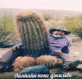 🌵 emoji Навалил кринжа от: @imragetim Telegram sticker 10 of 20