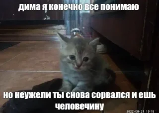 🤩 emoji Соевый соус снова тут @TgEmodziBot Telegram sticker 15 of 45