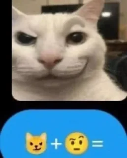 Sticker from C A T S