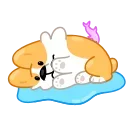 😭 emoji Corgi Life Telegram sticker 6 of 33