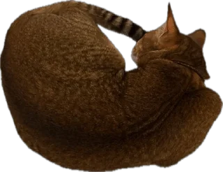 🌟 emoji SIMBATHECAT Telegram sticker 10 of 60