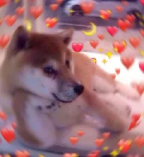 😉 emoji *агресивно шле hearts* Telegram sticker 15 of 83