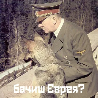 👀 emoji Der Deutschen Fuhrer Telegram sticker 13 of 18