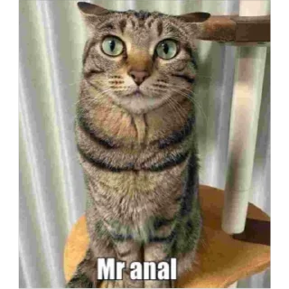 😱 emoji Mr anal Telegram sticker 5 of 40