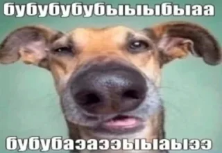 🤯 emoji Пес ебани Telegram sticker 21 of 22