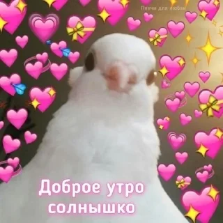 Sticker from Доброе утро˙˚ʚ(´◡`)ɞ˚˙
