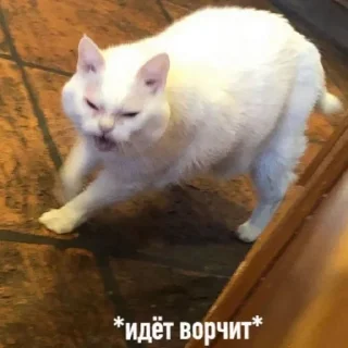 😾 emoji Нечего сказать by @ohmymarya Telegram sticker 18 of 99
