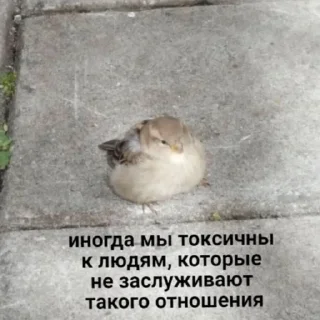 ☢️ emoji Нечего сказать by @ohmymarya Telegram sticker 19 of 99