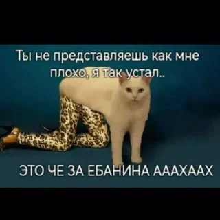 🙂 emoji Стики группы❤️❤️<3  @stikersvtg_bot Telegram sticker 10 of 24