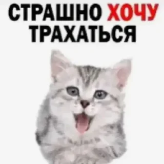 Sticker from Больше стиков тут: @stickery_stickers