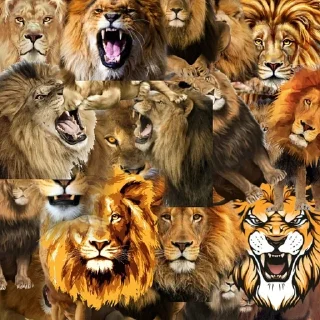 🦁 emoji Лев Telegram sticker 12 of 18