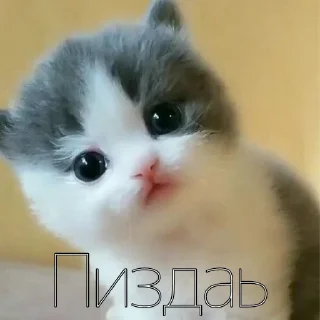 😈 emoji Ответки-приветки Telegram sticker 9 of 9