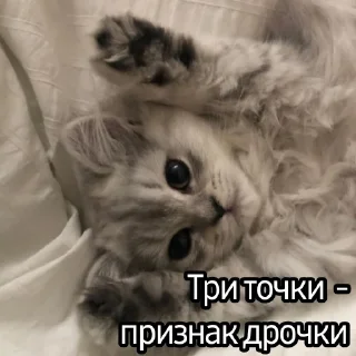 😼 emoji Ответки-приветки Telegram sticker 6 of 9