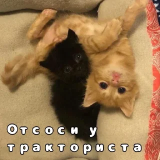 🚜 emoji Ответки-приветки Telegram sticker 8 of 9