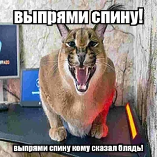 💀 emoji Мамут Рахал Telegram sticker 17 of 45