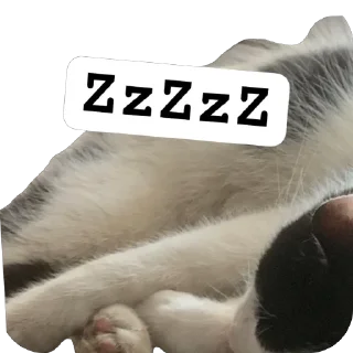 🌟 emoji Cats by https://t.me/Um_Bilal_111  fStikBot Telegram sticker 2 of 11