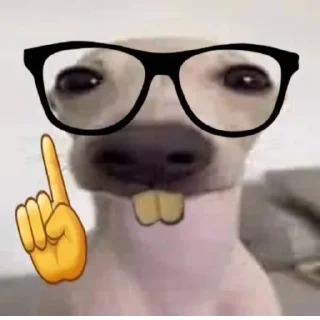 🤓 emoji пися попа челеен Telegram sticker 11 of 64