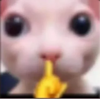 🤫 emoji пися попа челеен Telegram sticker 8 of 64