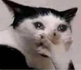 🥺 emoji пися попа Telegram sticker 9 of 40