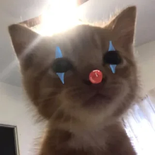🤡 emoji пися попа челеен Telegram sticker 18 of 64