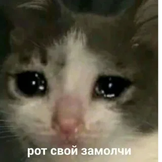 😭 emoji пися попа челеен Telegram sticker 24 of 64