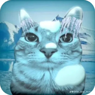Sticker from Кот Тайлер дерден | @Floppathecat
