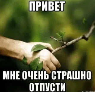 Sticker from Тупездень