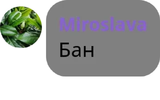 💣 emoji Аллигатор v2 - @alligatorv2 pack by @QuotLyBot Telegram sticker 21 of 38