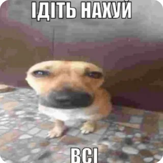 🤣 emoji конституція обмежує права емо Telegram sticker 15 of 48